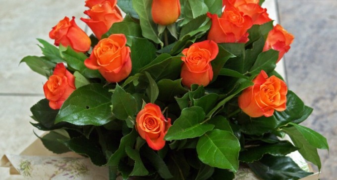 Cum alegi cea mai buna florarie online din Bucuresti?