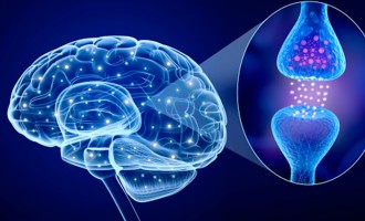 Ce presupune boala Parkinson – simptome, cauze, tratament