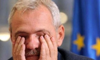 Liviu Dragnea, mesaj dur pentr Viorica Dăncilă! L-a supărat mai grav ca niciodată! Care este următorul pas | Criteriul National