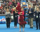 Halep a dat lovitura datorită lui Darren Cahill! Ce reușită a bifat cât l-a avut antrenor | Criteriul National