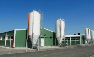 Clădiri metalice pentru ferme de porci
