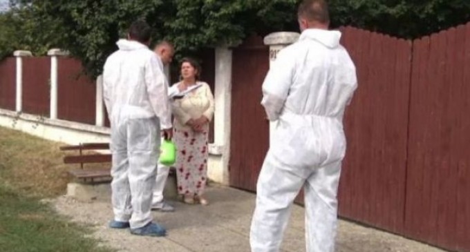 Pesta porcină face ravagii în România! Bilanțul ANSVSA este tragic! Cifrele vorbesc de la sine | Criteriul National