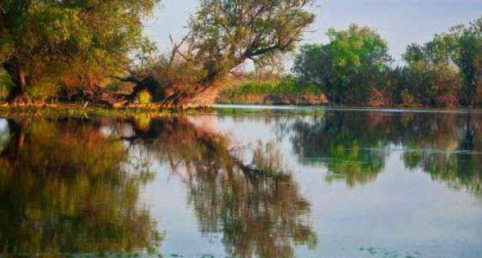 4 motive pentru care Delta Dunarii este principala destinatie a iubitorilor de natura