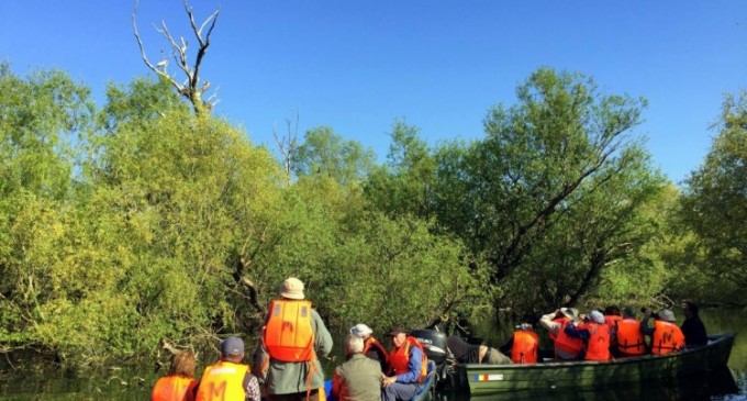 3 motive pentru alege un program de Birdwatching pe un hotel plutitor in Delta Dunarii