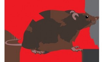 Eliminarea daunatorilor – De ce aparatele cu ultrasunete sunt mai sigure si mai eficiente decat pesticidele