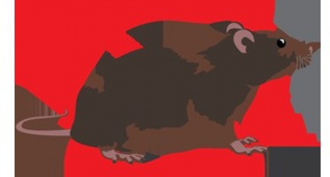 Eliminarea daunatorilor – De ce aparatele cu ultrasunete sunt mai sigure si mai eficiente decat pesticidele