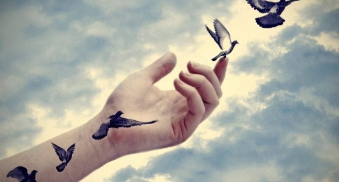 Trăim conform libertăţii noastre…