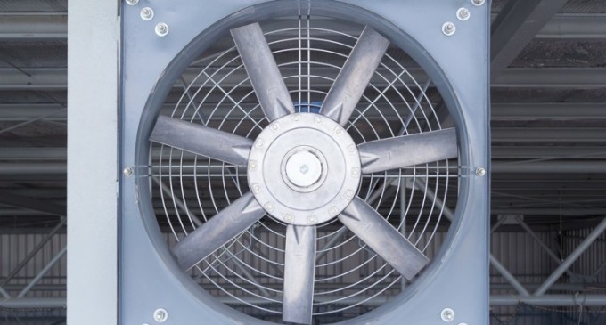 Cum aduci senzația de aer  proaspăt în orice încăpere?