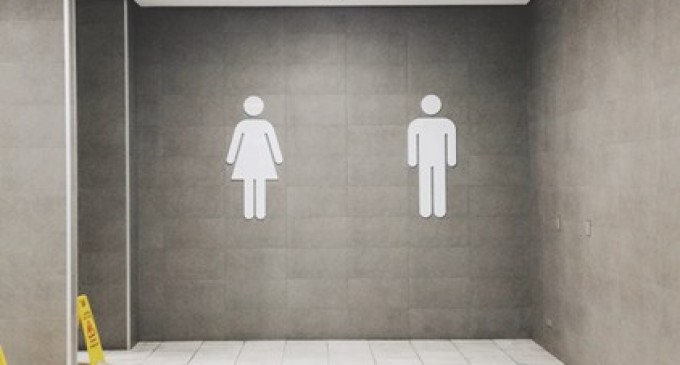 Care sunt cele mai bune odorizante pentru pisoar