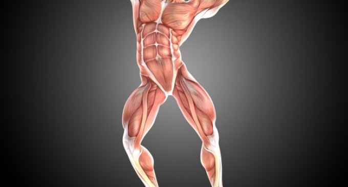 Clenbuterol Balkan te ajuta sa slabesti si sa acumulezi masa musculara. Cum il folosesti?