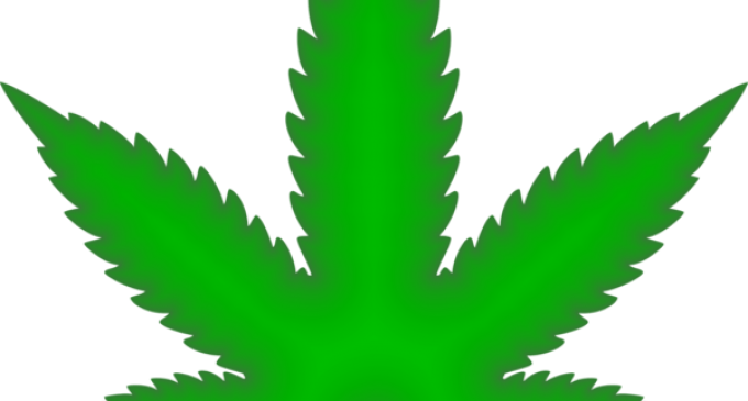 Mexic va vota legalizarea plantei de cannabis – International