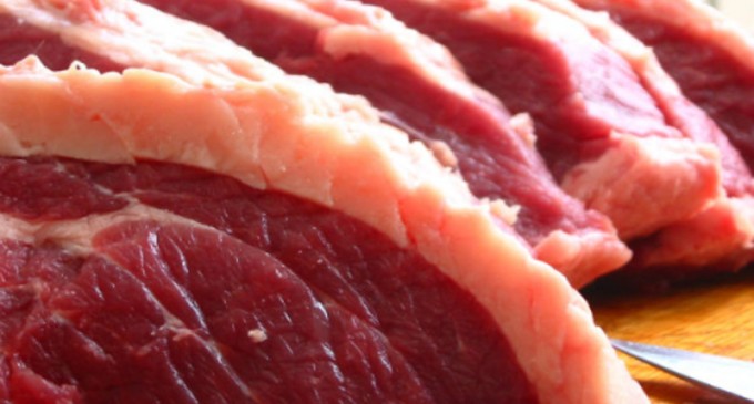 China crește porci uriași, de mărimea unor urși polari – International