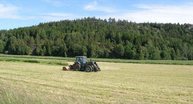 Ministrul Agriculturii: Am procesat în jur de 300.000 de dosare din aproape 900.000 pentru plata subvenţiilor în avans – Agricultura