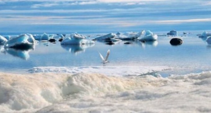 ”Surpriză totală”: Râurile glaciare absorb mai repede dioxid de carbon decât pădurile tropicale, au descoperit cercetătorii – Mediu