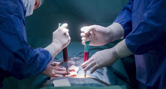 65 de donatori de organe în moarte cerebrală anul acesta, în România. Ministrul Sănătății: Revigorarea activității de transplant, una dintre prioritățile mele – Sanatate