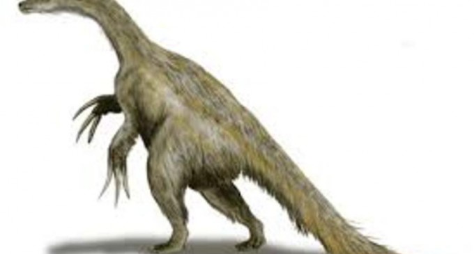 Dinozauri pufoși, acoperiți cu pene, obișnuiau să trăiască la Polul Sud (Studiu) – Arheologie