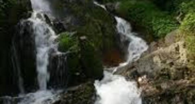 Un turist francez a murit în Thailanda, în timp ce încerca să facă un „selfie” – International