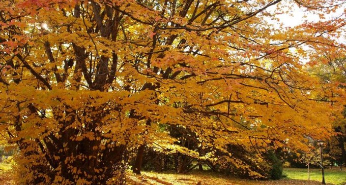 Vremea se menţine caldă în toată țara, sâmbătă şi duminică. Temperaturi de până la 24 de grade – Esential