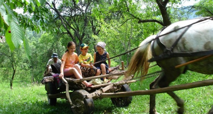 Copiii dispăruți de șase zile de la o stână din Vaslui au fost găsiți – Esential