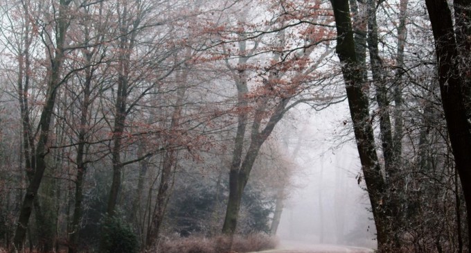 Vremea în weekend. Temperaturile rămân ridicate pentru această perioada a anului, dar cerul va fi noros – Mediu