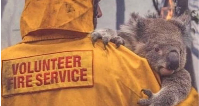 FOTO Australia: Condiţii meteo ”catastrofice” favorizează propagarea incendiilor – International