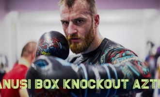 Cum sa alegem cele mai bune manusi de box – Knockout Store