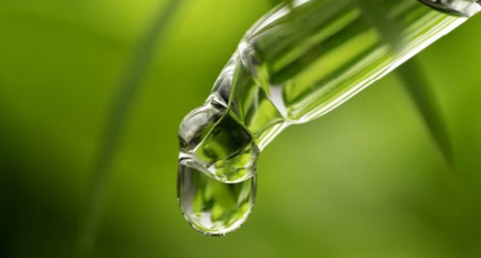 Uleiul CBD ca si remediu naturist in tratamentele complementare