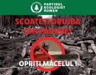 „Scoateți drujba din pădure!” -protest al ecologiștilor din România