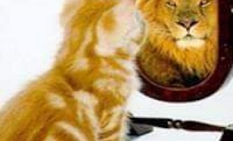 IMAGINEA DIN OGLINDĂ