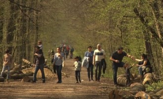 COVID -19. RECOMANDĂRI