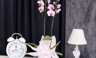 Festivitatea perfecta impune aranjamente florale in cosuri