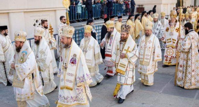 BOR ŞI COVID-19 (PAMFLET)