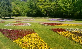 Pieţe Prest Râmnicu Vâlcea – Numărul 1 în administrarea pieţelor agroalimantare şi spaţii verzi
