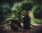 Asemănări și deosebiri între uleiul de cânepă și uleiul CBD