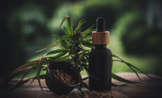 Asemănări și deosebiri între uleiul de cânepă și uleiul CBD