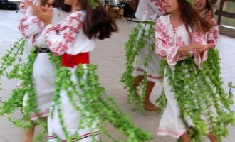 TRADIŢII ŞI OBICEIURI MISTICE. PAPARUDA