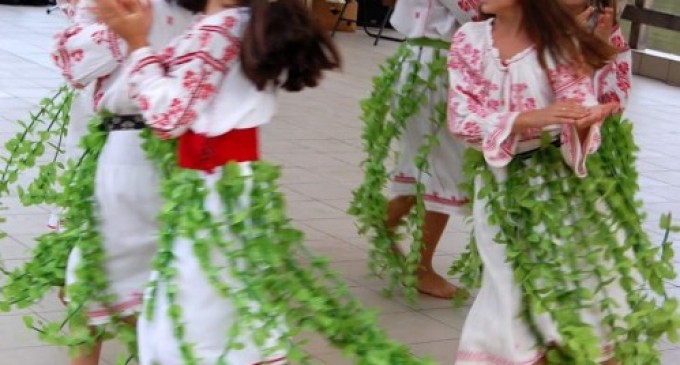 TRADIŢII ŞI OBICEIURI MISTICE. PAPARUDA