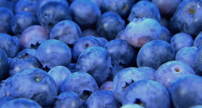 Cum ne putem proteja de actiunea nociva a radicalilor liberi?