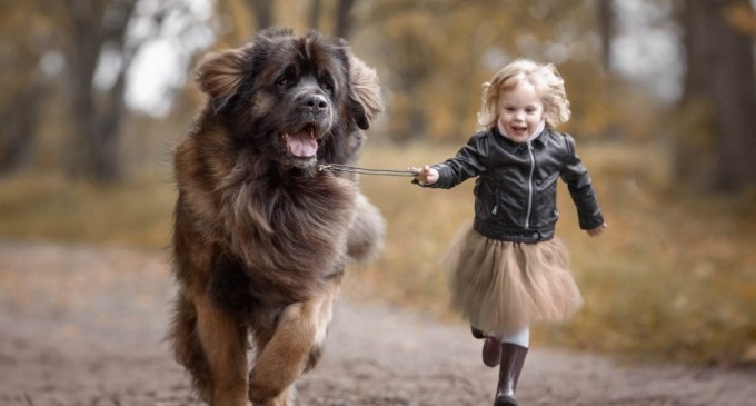 Top 100 nume de caini