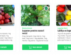 Idei de afaceri: Doi stundenţi lasnează un marketplace unde micii producători locali pot vinde legume şi fructe