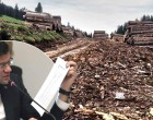 Partidul Ecologist solicită demisia ministrului Mediului, Apelor și Pădurilor