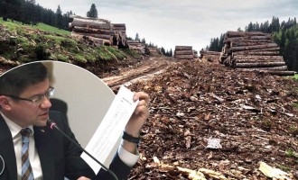Partidul Ecologist solicită demisia ministrului Mediului, Apelor și Pădurilor