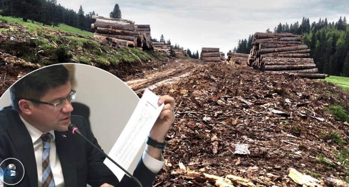 Partidul Ecologist solicită demisia ministrului Mediului, Apelor și Pădurilor
