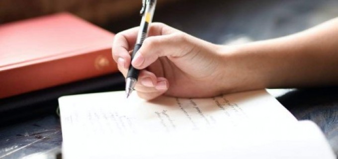 NOTE DE JURNAL- PAMFLET