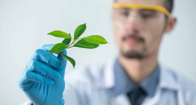 Colostomie – ce trebuie să știi și cum ai grijă de stoma