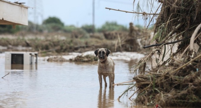 ​VIDEO Inundații grave în Grecia: cel puțin cinci persoane și-au pierdut viața – International