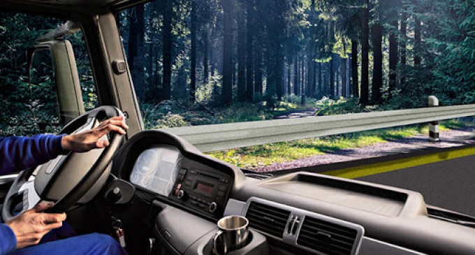 Birocratia meseriei de sofer. Ce trebuie sa ai in vedere?