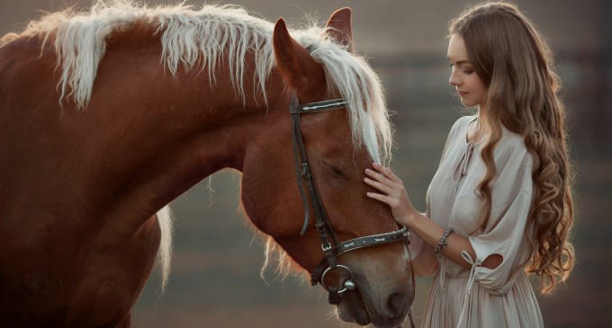 Top 10 beneficii ale samponului pentru cai