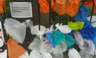 New Jersey interzice toate pungile de unică folosință, o premieră în Statele Unite / Amenzi uriașe – Mediu
