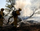California devastată de noi incendii / Napa Valley, celebra regiune viticolă, grav afectată – International